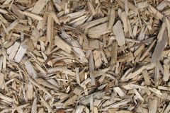 biomass boilers Cuidhtinis